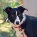 Jayda was adopted in October, 2004